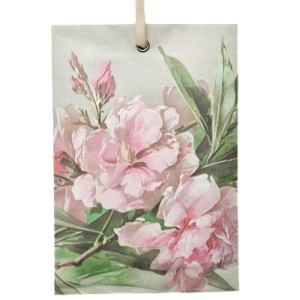 geurzakje oleander - Engelse roos